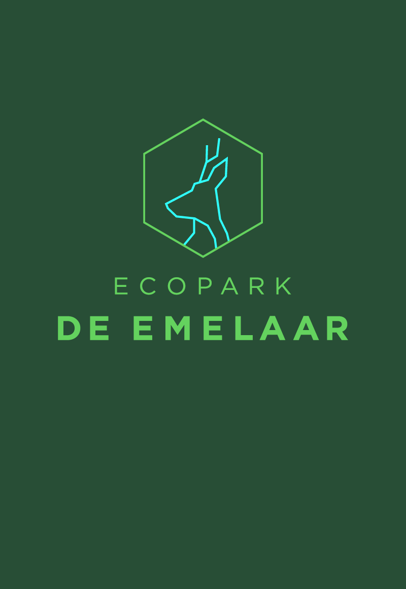 Beeldbrekers - 
